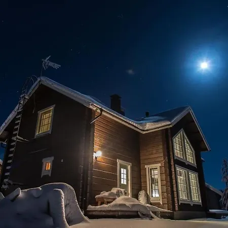 Σαλέ Koskikara *